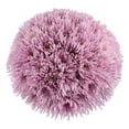 thumbnail image 1 of Member's Mark Spider Mums, choose color and stem count, 1 of 8