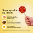 thumbnail image 4 of BeeKeeper's Naturals Kid's Propolis Throat Soothing Pops, 30 ct., 4 of 6