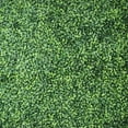 thumbnail image 4 of Select Surfaces Premium Artificial Boxwood Hedge Panels, 4 of 8