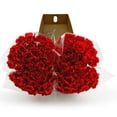 thumbnail image 4 of Member's Mark Carnations, Choose color and stem count, 4 of 7