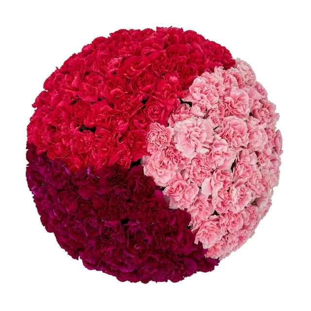 Member's Mark Mini Carnations, Choose color and stem count