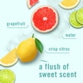 thumbnail image 6 of Febreze Bathroom Air Freshener, Citrus Breeze Heavy Duty + Ocean + Linen & Sky, 6ct., 6 of 10