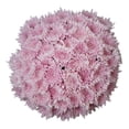 thumbnail image 1 of Member's Mark Football Mums, choose color and stem count, 1 of 6