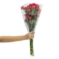 thumbnail image 2 of Member's Mark Mini Carnations, Choose color and stem count, 2 of 6