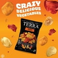 thumbnail image 5 of Terra Original Chips, 15 oz., 5 of 6
