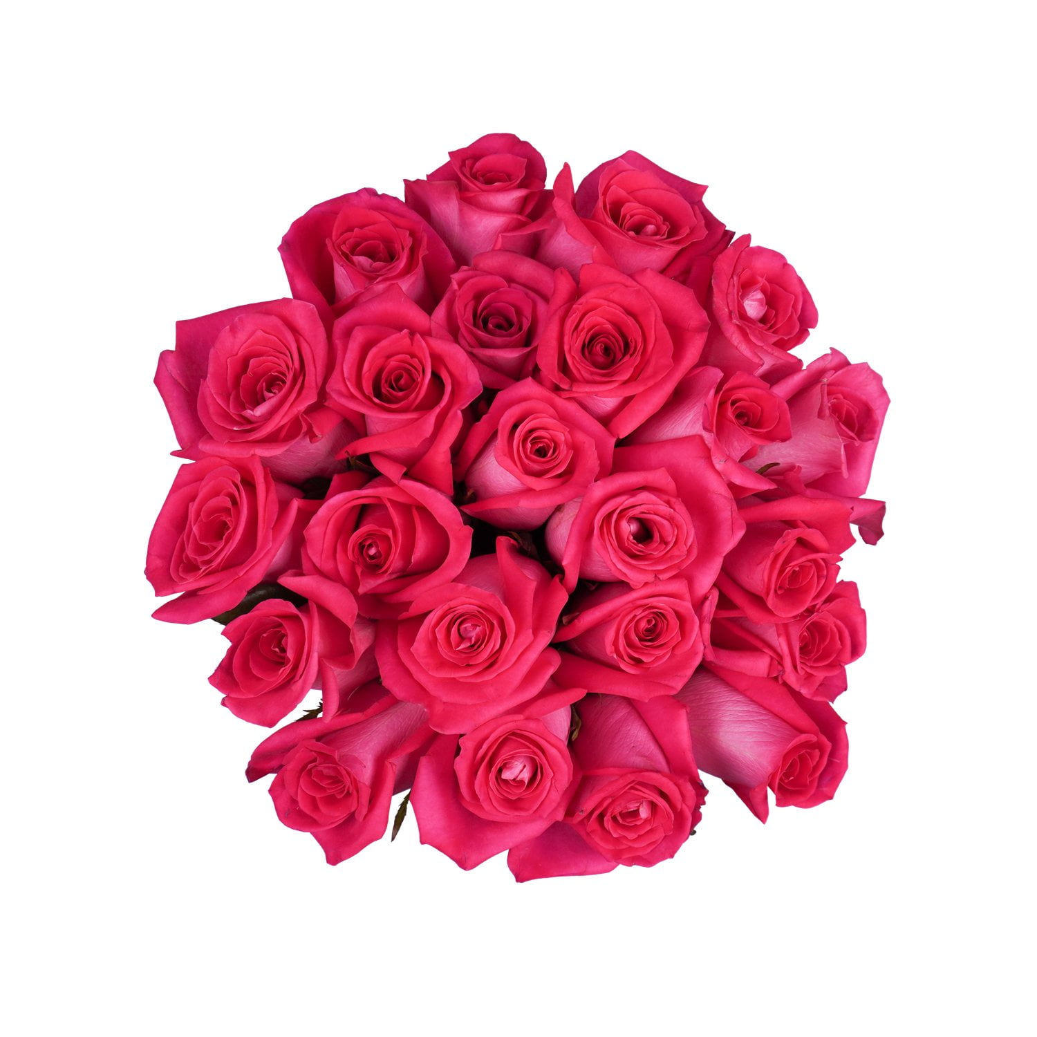 Member's Mark Premium Double Dozen Rose, 24 stems - Samsclub.com