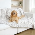 thumbnail image 1 of Member's Mark Waterproof Pet Throw Blanket 60"x80", Choose Color, 1 of 4