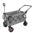 thumbnail image 2 of Member’s Mark Push Pull Wagon, 2 of 5