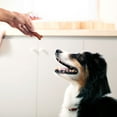 thumbnail image 7 of Milk-Bone Soft & Chewy Beef and Filet Mignon Dog Treats, 37 oz., 7 of 8