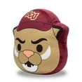 thumbnail image 3 of Logo Brands Bethune-Cookman Wildcats Puff Pillow, 3 of 5