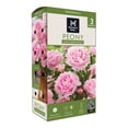thumbnail image 1 of Member's Mark Peony Sarah Bernhardt Dormant Bulbs, 3pk, 1 of 9