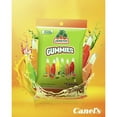 thumbnail image 5 of Canel's Jarritos Gummies, 28.8 oz., 5 of 5