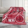 thumbnail image 2 of Logo Brands Arkansas Razorbacks 60"x70" Super Plush Blanket, 2 of 6
