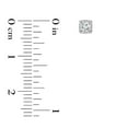 thumbnail image 4 of Round Diamond Earrings in 14K Gold, 0.08C.T.T.W., 4 of 4