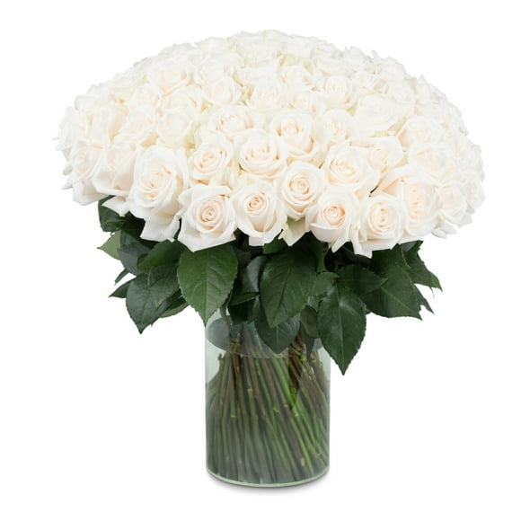 Member's Mark Rose Vase Arrangement, 100 stems, choose color