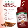 thumbnail image 3 of Nature's Truth Concentrated Ceylon Cinnamon 2,000 mg Capsules 150 ct., 3 of 6