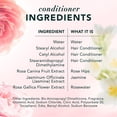 thumbnail image 8 of Herbal Essences Rose Hips Shampoo and Conditioner, 32.5 fl. oz., 2 pk., 8 of 10