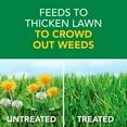 thumbnail image 2 of Scotts Turf Builder Weed & Feed, 45.26 lbs., 2 of 4