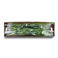 thumbnail image 8 of Member's Mark LA Hybrid Lilies, choose color and stem count, 8 of 8