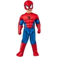 thumbnail image 1 of Rubies Toddler Spider-Man Halloween Costume, 1 of 5