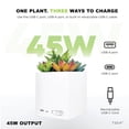 thumbnail image 2 of Tech Squared Power Bloom Charging Decorative Plant with Built-in retractable USB-C cable, 2 of 8