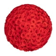 thumbnail image 1 of Member's Mark Ecuadorian Premium Roses, choose color variety and stem count, 1 of 6