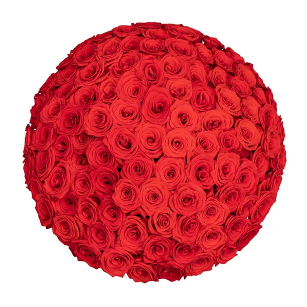 Member's Mark Ecuadorian Premium Roses, choose color variety and