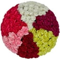 thumbnail image 1 of Member's Mark Mini Carnations, Choose color and stem count, 1 of 4