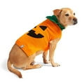 thumbnail image 1 of Free Country Halloween Dog Sweater, 1 of 6