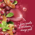 thumbnail image 3 of Dove Liquid Hand Wash Holiday Treats Variety Pack, 12 oz., 3pk., 3 of 14