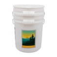 thumbnail image 1 of Sam’s Club Virginia  5 Gallon Bucket with Lid, 2 Pack, 1 of 8