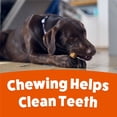 thumbnail image 7 of Purina Busy With Peanut Butter Small/Medium Breed Dog Treats, 18 ct., 7 of 10