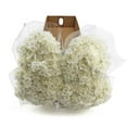 thumbnail image 4 of Member's Mark Carnations, Choose color and stem count, 4 of 7