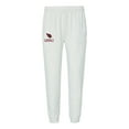 thumbnail image 1 of NFL Adult Fleece Lounge Pants, 1 of 5