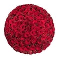 thumbnail image 1 of Member's Mark Ecuadorian Premium Roses, choose color variety and stem count, 1 of 5