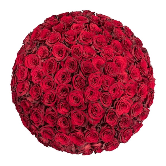 Member's Mark Ecuadorian Premium Roses, choose color variety and stem count