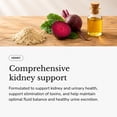 thumbnail image 2 of Revive MD Kidney Support Clincally Dosed Daily Supplement Capsules, 135 ct., 2 of 7