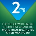 thumbnail image 5 of Member’s Mark Nicotine Mini Lozenge, Choose your flavor, 216 ct., 5 of 10