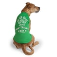 thumbnail image 1 of Free Country St. Patricks Doggy 2-Pack Tees, 1 of 12