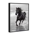 thumbnail image 1 of Graceful Horse Black and White Canvas Print by Oliver Gal Prints, 1 of 4