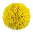 thumbnail image 1 of Member's Mark Spider Mums, choose color and stem count, 1 of 7