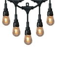 thumbnail image 1 of Honeywell 36' Commercial Grade LED Indoor/Outdoor String Lights, 1 of 7