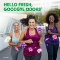 thumbnail image 3 of Gain Flings! Laundry Detergent Pacs + Odor Defense, Super Fresh Blast Scent, 152 ct., 3 of 6