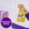 thumbnail image 3 of Fabuloso 3-in-1 Clean Spray, Multi-Purpose Cleaner, Lavender & Lemon Scent, 3 ct., 25.3 fl. oz., 3 of 9