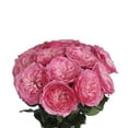 thumbnail image 2 of Member's Mark Garden Roses, 36 stems, Choose color variety, 2 of 6