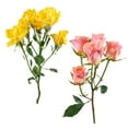 thumbnail image 2 of Member's Mark Spray Roses, Choose color variety and stem count, 2 of 3