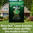thumbnail image 3 of Moss Out! Plus Fertilizer for Lawns - 20 lbs., 3 of 8