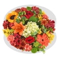 thumbnail image 7 of Member's Mark Jumbo Premium Bouquet, color and variety may vary, 7 of 10