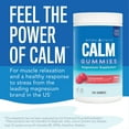 thumbnail image 2 of Natural Vitality Calm, The Anti-Stress Dietary Supplement Gummies, Strawberry (240 ct.), 2 of 9