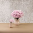 thumbnail image 5 of Member's Mark Football Mums, choose color and stem count, 5 of 6